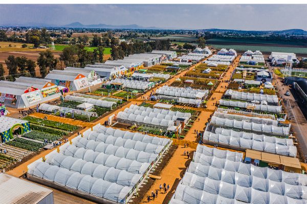 Vista aerea invernaderos ExpoAgro 2024 Vista aerea invernaderos ExpoAgro 2024