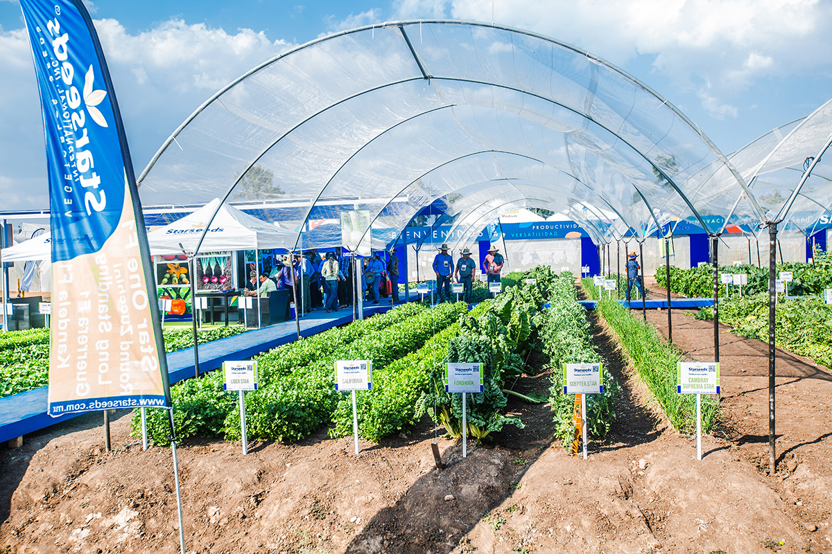 Agricultura protegida ExpoAgro