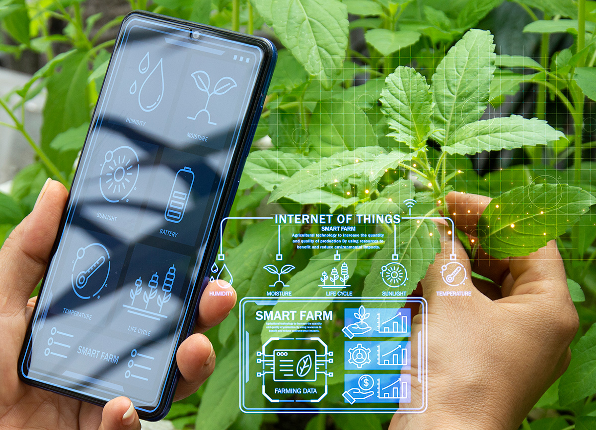Conectividad y agricultura inteligente